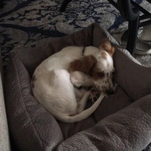 Meet your Posher, Savannah